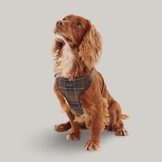BARBOUR TRAVEL & EXERCISE DOG HARNESS - CLASSIC TARTAN