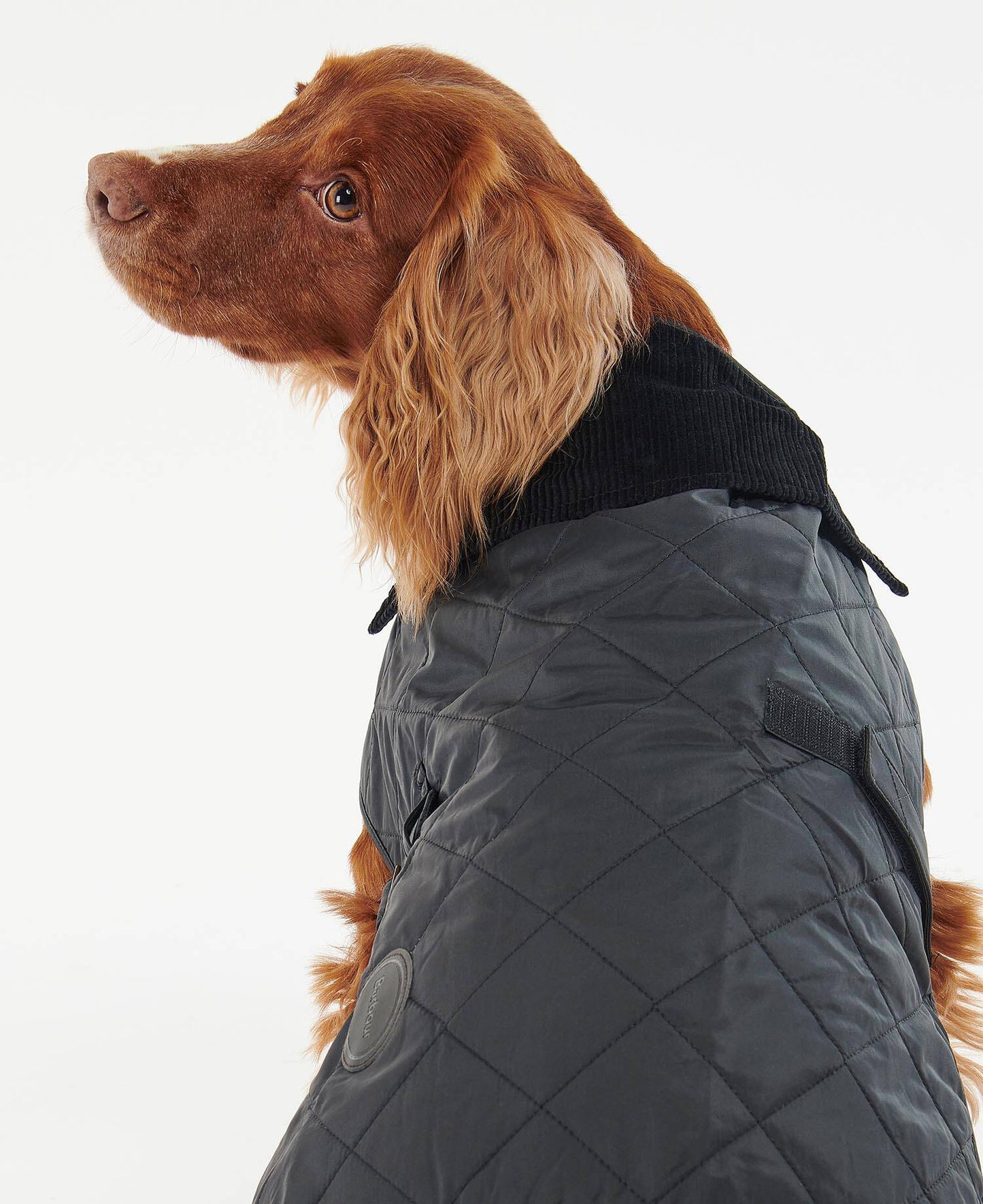 BARBOUR QUILTED DOG COAT - BLACK